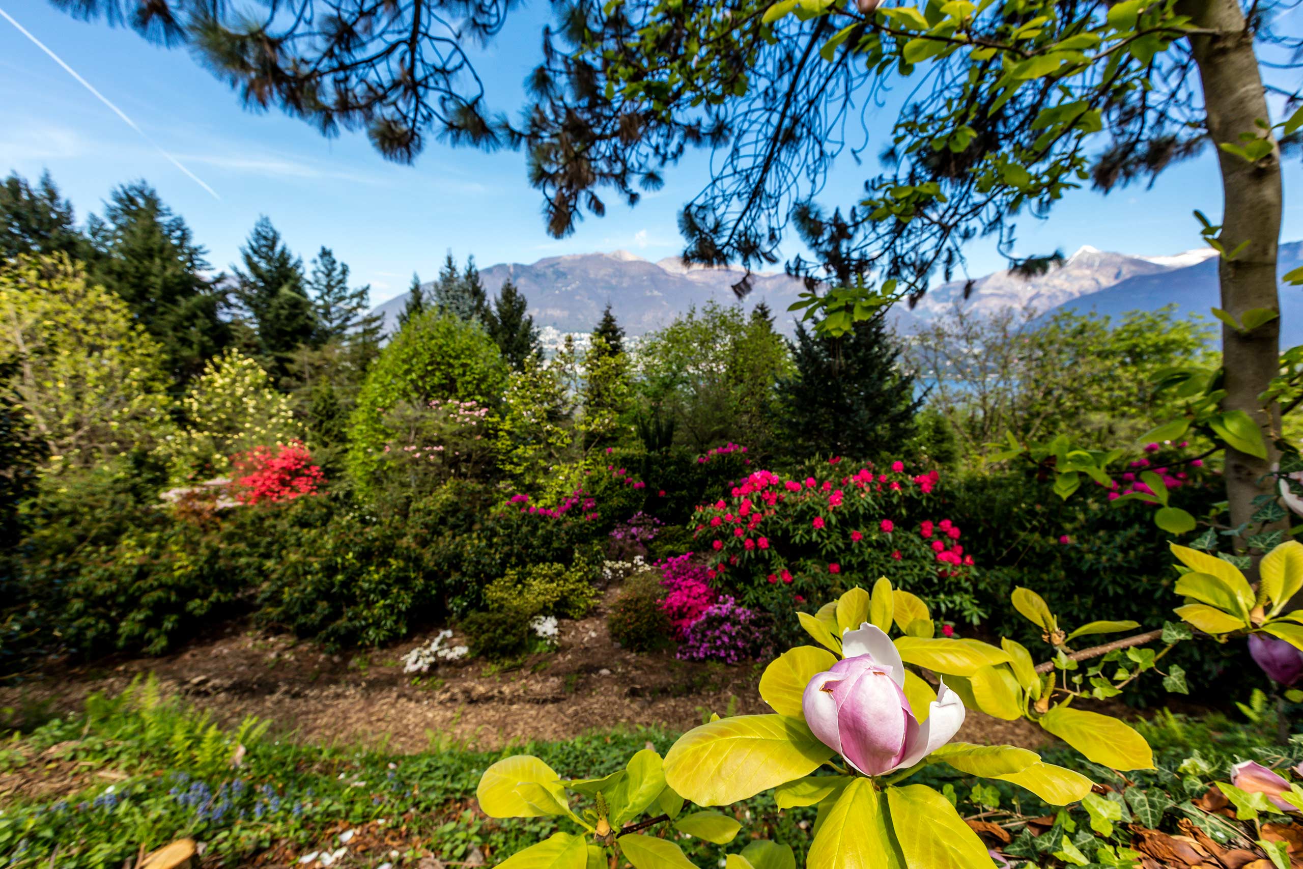 Parco Botanico Del Gambarogno 13 (© Ascona Locarno Tourism Foto Alessio Pizzicannella)